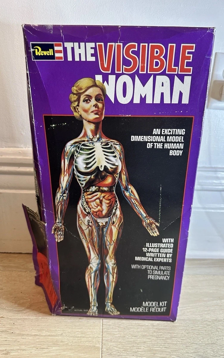 visible woman products for sale | eBay