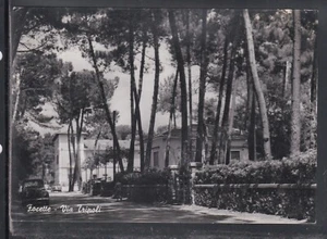 Cartolina Focette Via Tripoli AUTO IB713 - Picture 1 of 2