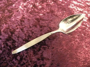 FROSTFIRE Fruit Grapefruit Orange Spoon Oneida Community Stainless Steel USA - Picture 1 of 3