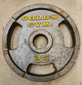 Gold’s Gym 25 Lb. Pound Olympic Easy Grip Weight Plate Cast Iron 2” Hole - Picture 1 of 2