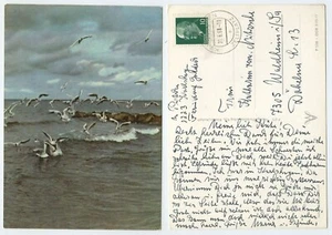 117589 - Möwen an der Ostseeküste - Ansichtskarte, gelaufen 21.6.1968 - Bild 1 von 1