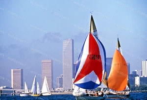 Miami Skyline Sail Boats Original 35mm Photo Slide - Picture 1 of 2