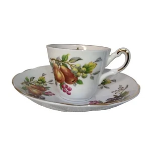 Regency Demitasse Small Cup and Saucer Bone China England Fruit 1950s - 60s - Bild 1 von 9