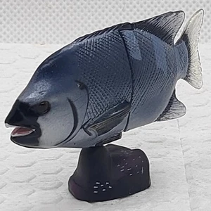 Japanese Tilapia Fish Figure Kaiyodo Choco Egg Vol.2 Furuta Miniature Rare Japan - Picture 1 of 7