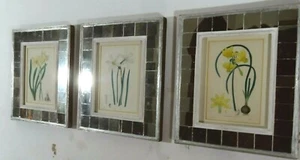 RARE Daffodil prints, Date 1820. Set of 3 Artisan Mirror frames, interior s - Picture 1 of 12