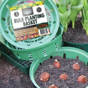 MR FOTHERGILLS Bulb Planting & Storage Baskets - Set of 3 - Picture 1 of 1