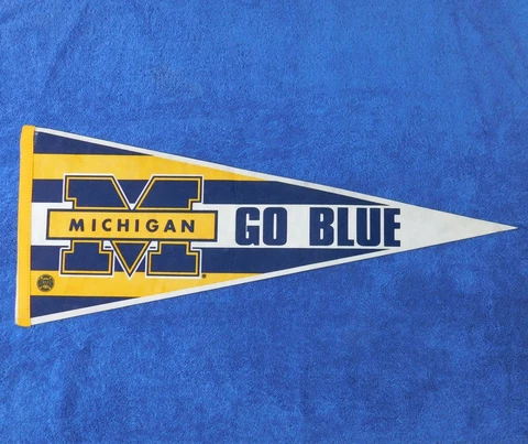 Vintage 1980s UNIVERSITY Of MICHIGAN WOLVERINES GO BLUE! 30 X 12 College Pennant Cover