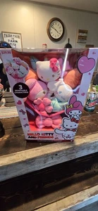 NEW Hello Kitty And Friends Valentines Plush Bouquet 3 Removable Characters 2025 - Picture 1 of 2
