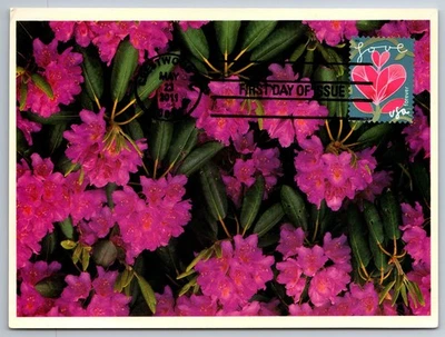#4531 Garden of Love Pink Flower FDC Maxi Card - Image 1 of 2