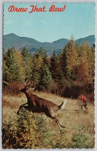 Bow Hunting Vintage Postcard Motel Maniwaki Gatineau Quebec - Picture 1 of 2