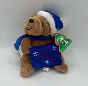 Neu mit Etikett - 6,5" Plüschfreunde Teddybär bestickter Geschenkkartenhalter Weihnachten Urlaub - Bild 1 von 3