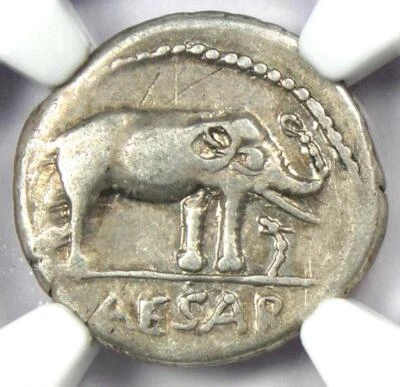 Julius Caesar AR Denarius Silver Elephant Roman Coin 49 BC - NGC Choice VF - Image 1 of 4