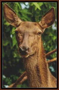 RED DEER DOE ~ cross stitch pattern (punto cruz) - Picture 1 of 5