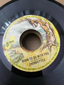 Chordetten - Born to be With You/Eddie My Love 45rpm VG+ R4 - Bild 1 von 2