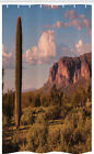 Saguaro Schmaler Duschvorhang Mountain State Park