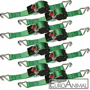 8 Stück automatischer Automatik Zurrgurt 1,8m x 50mm Spanngurt selbstaufrollend - Bild 1 von 1