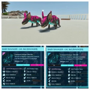 ARK ASCENDED PVE PAAR BABY RAVAGER GALAXY NEU TOP GEWICHT PC/XBOX/PS5 - Bild 1 von 3
