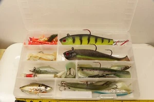 20 Stück Set verschiedene große Fisch Angelköder mit Kunststoffkoffer Sturmköder u.a. - Bild 1 von 8