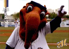 2016 Montgomery Biscuits Grandstand #31 Big Mo MASCOT - NM Baseball Card