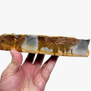 Chicken Track Picture Jasper Rough Chunk! - Picture 1 of 6