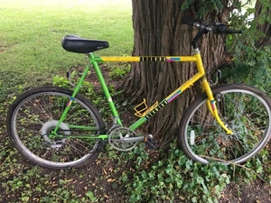 Schwinn Sierra 4130Chrome Moly Vintage Mountain bike 23” Frame - Picture 1 of 6