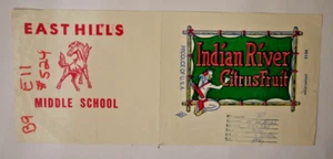 Vintage Paper Bag / Label - INDIAN RIVER CITRUS, EAST HILLS MIDDLE SCHOOL. 1984 - Picture 1 of 1