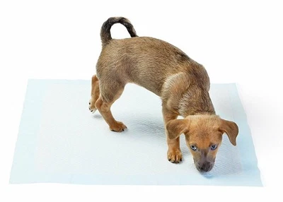 XL 150 Puppy Pee Pads 23x36" | Cheap Pishie Pads | Dog Training/Mattress Use - Image 1 of 4