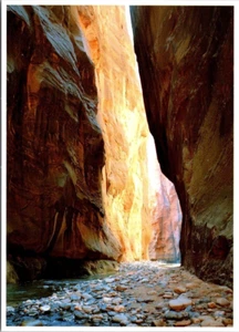 Postal Parque Nacional Zion Narrows Utah UT Foto de Zandria Muench 1993 - Imagen 1 de 2