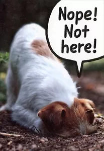 Funny Animal BIRTHDAY Card, Jack Russel Dog Dig by Recycled Paper Greetings +✉ - Picture 1 of 5