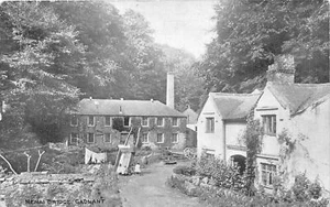 uk40602 cadnant menai bridge wales uk - Picture 1 of 2