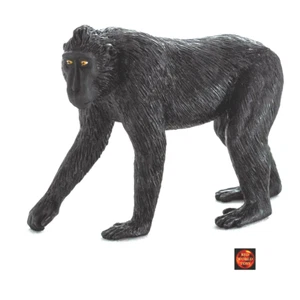 Schwarzkappen Makake Affe Wildlife Spielzeug Modell 387182 von Mojo Animal Planet Neu - Bild 1 von 1