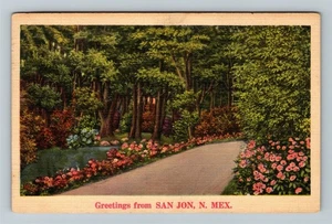 San Jon NM-New Mexico, Scenic Greetings, c1941 Vintage Souvenir Postcard - Picture 1 of 4