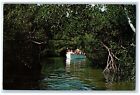 c1960s Mangrove Jungle Of Everglades National Parks Everglades FL Boat Postcard