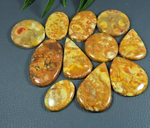 27-43MM Natural Bird Eye Jasper Mix Shape Cabochon Loose Gemstone 11Pcs Lot e772 - Picture 1 of 9