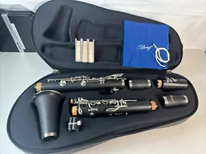 Clarinetto Borg con custodia morbida rigida scuola principianti BUONE condizioni - Foto 1 di 17