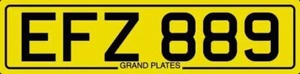 TARGA PRIVATA SENZA DATA EFZ 889 CARA REG COPERTINA CORTA NON DATATA EF - Foto 1 di 5