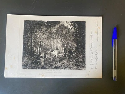 Eau-forte, Maxime LALANNE (d’après Constant TROYON) — Vaches sous bois - Photo 1/3