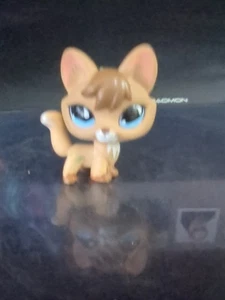 RARO Littlest Pet Shop Sportiest Brown FOX Blue Teardrop Eyes - 2007 LPS #673 - Foto 1 di 9