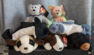 7 Ty Beanie Babies Blackie Echo Bernie Peace Bruno Waves Cowboys Excellent Cond - Picture 1 of 23