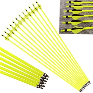 12X 30" Carbonpfeile Jagdpfeile SP500 Bogenschießen Recurve Compoundbogen Jagd - Picture 1 of 10