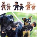 Beggar Bear Shape Pet Dog Squeak Toys Chew Plush Pet TRTO Do P7B7