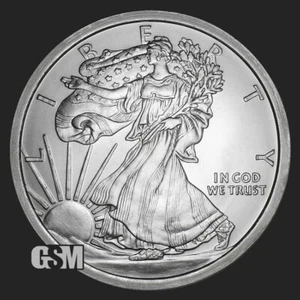 5 TROY OZ .999 FINE SILVER WALKING LIBERTY BU IN A AIR-TITE CAPSULE - Picture 1 of 3