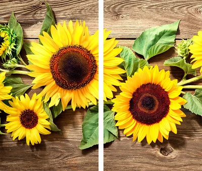 TMK Placas de cubierta de cocina 2 piezas 30x52 cubierta de vitrocerámica vidrio flores