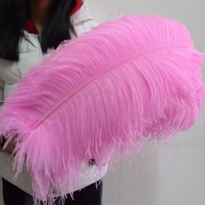 Wholesale 10/50/100pcs Ostrich Feathers 6-28inches/15-70cm For Wedding Party - Image 1 of 4