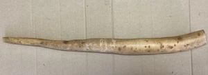 Vintage Papua New Guinea Penis Gourd - Picture 1 of 6