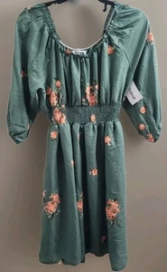 Neu mit Etikett Kindred x Anthropologie XL grün bestickt Midikleid gesmokte Taille Boho - Bild 1 von 12
