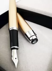 Penna Stilografica Pierre Cardin Paris GOLD Acciaio Resina + Cartuccia Omaggio - Picture 1 of 1