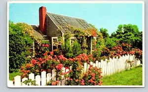 Postcard Typical Rose Covered Cottage White Picket Fence Nantucket Mass - Picture 1 of 2