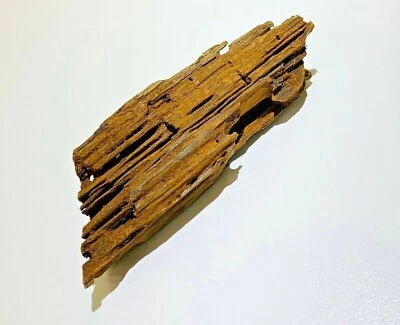 *BUY 2 GET 1 FREE* Malaysian Driftwood Aquascape Aquarium Reptile Driftwood ✅ - Image 1 of 4