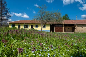 KARAISEN VT 4,110 SQM 2X Bulgarian house land Bulgaria property PAY MONTHLY - Picture 1 of 23